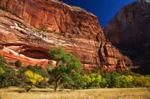 Zion Fall color-4409.jpg